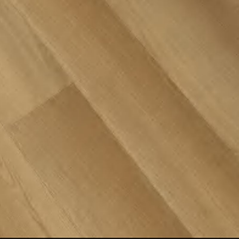 Floor texture: Basse Terre