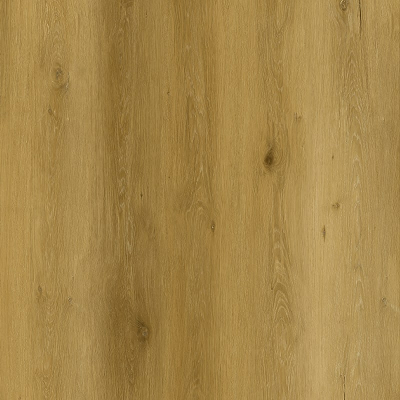 Floor texture: Iberian
