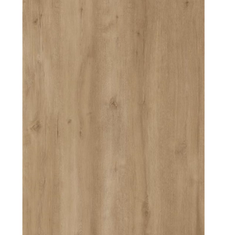 Floor texture: Elm