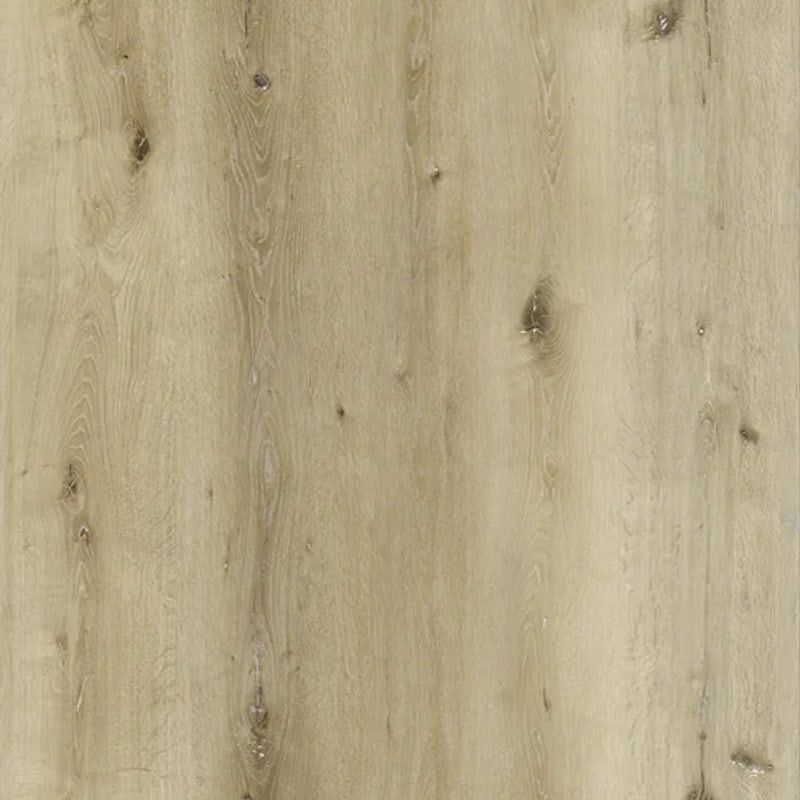 Floor texture: Gobi
