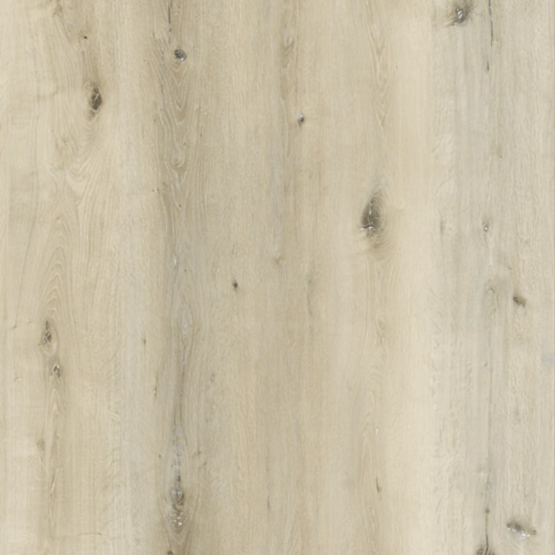Floor texture: Sahara