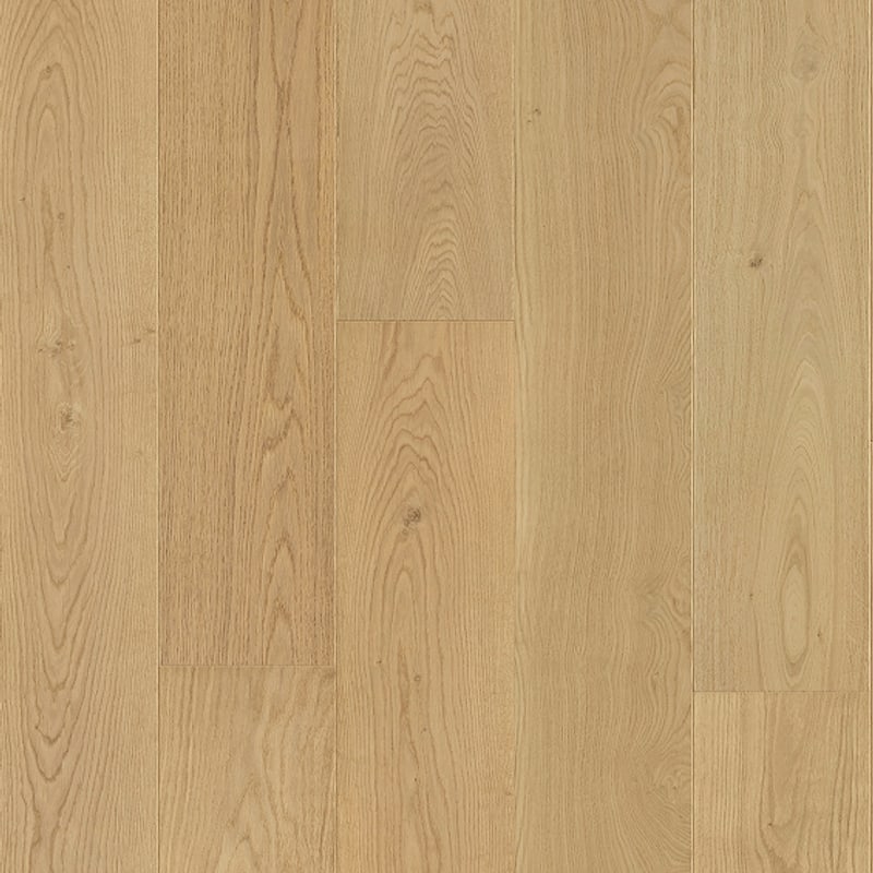 Floor texture: Forest